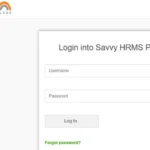 Savvy HRMS